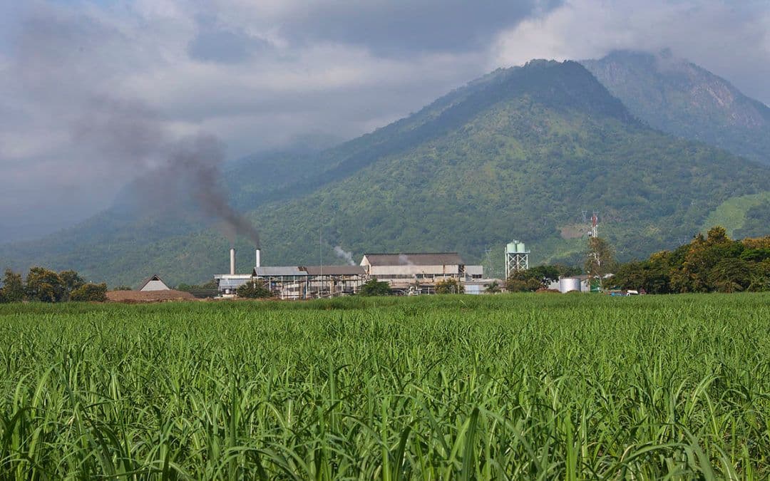 Tanzania's response to sugar shortage